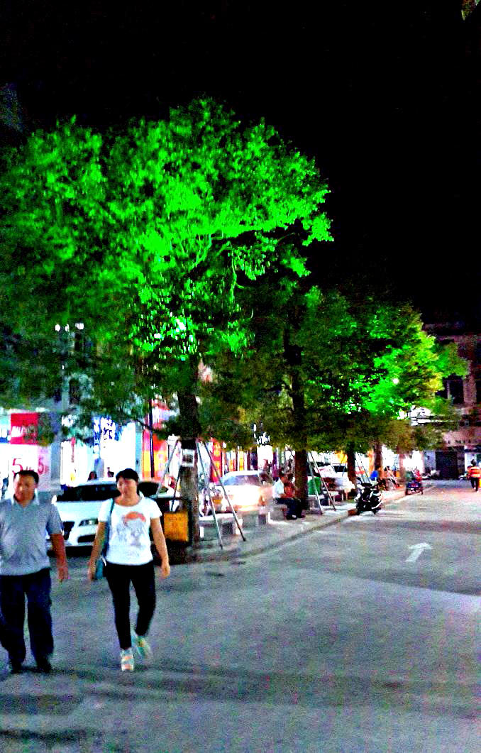 20141101_200020.jpg