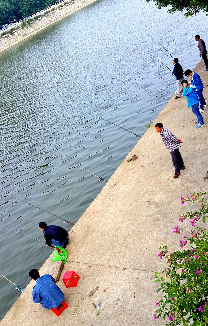 20141109_100146.jpg