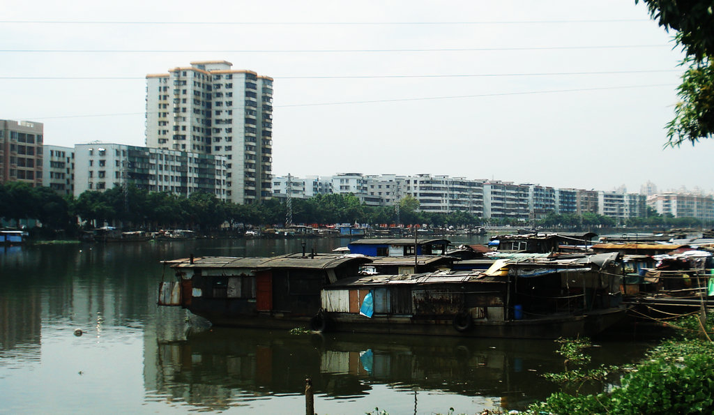 DSC00011.jpg