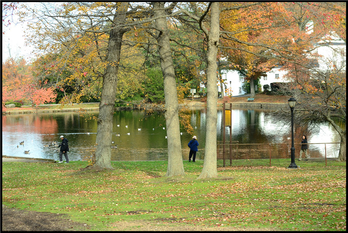DSC_5903.jpg