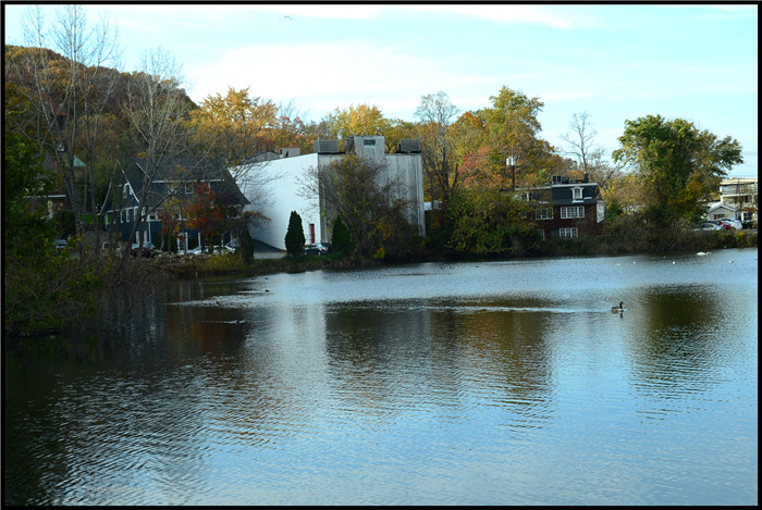 DSC_6104.jpg
