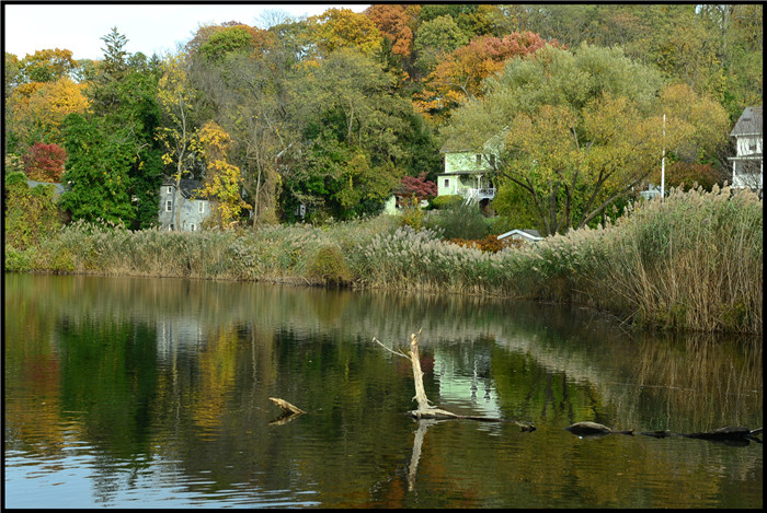 DSC_6022.jpg