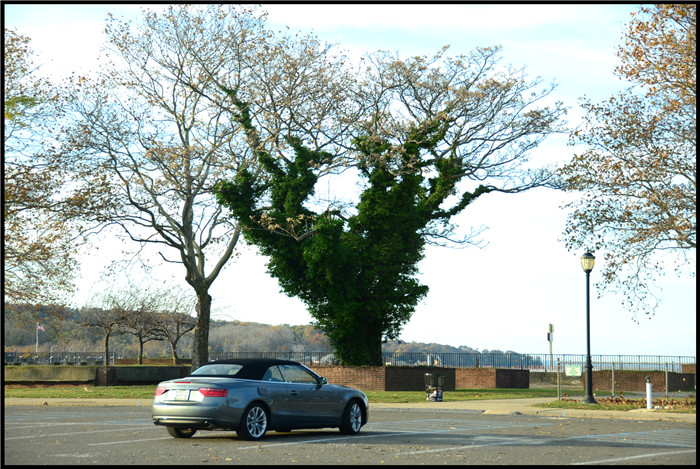 DSC_6204.jpg