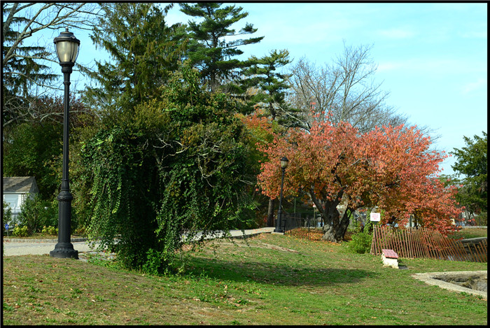 DSC_5931.jpg