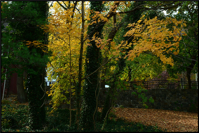 DSC_5887.jpg