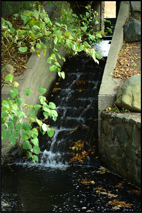 DSC_5998.jpg