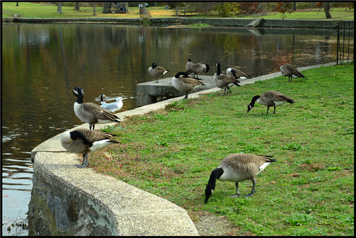 DSC_5991.jpg