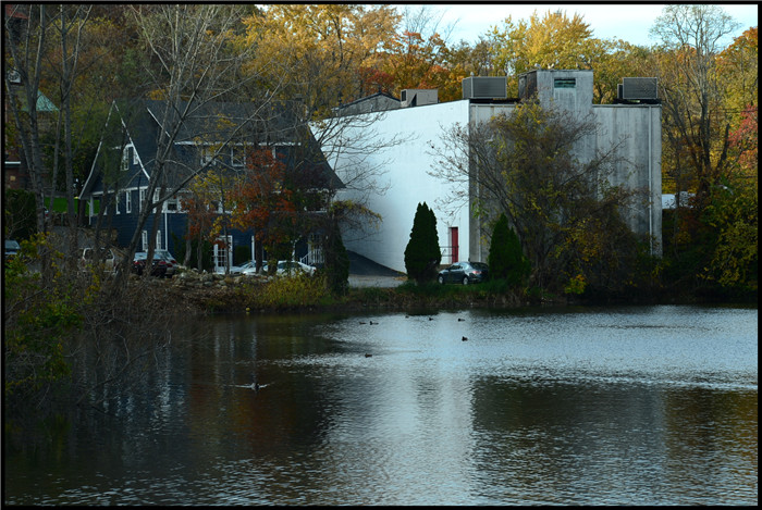 DSC_6103.jpg