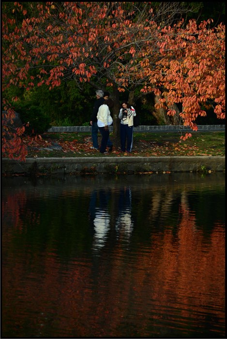 DSC_6154.jpg