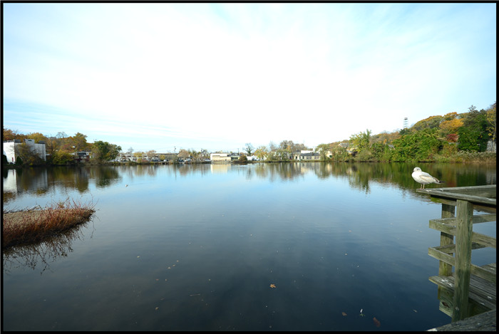 DSC_6040.jpg