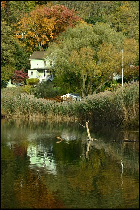 DSC_6101.jpg