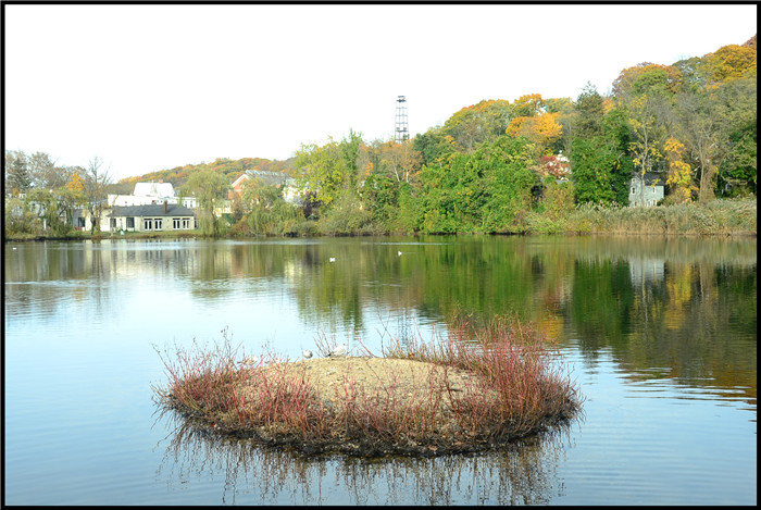 DSC_6075.jpg