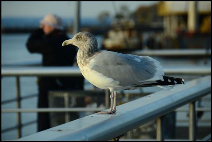 DSC_6224.jpg