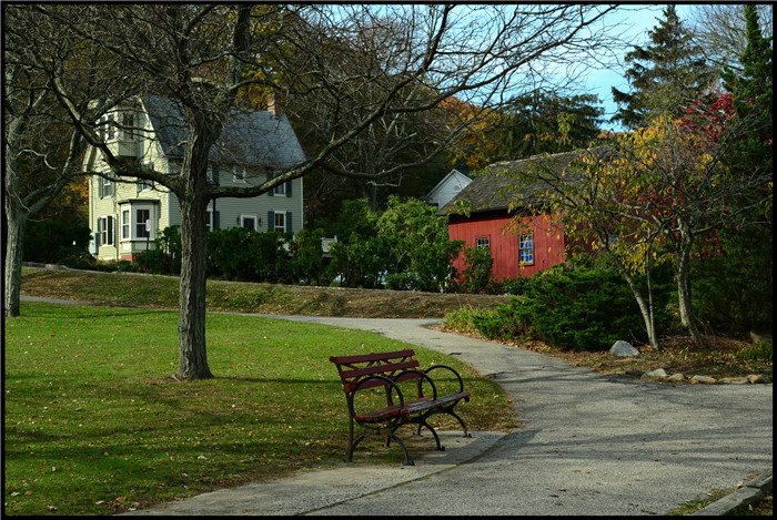 DSC_5915.jpg