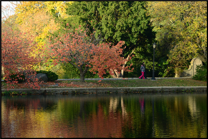 DSC_6172.jpg
