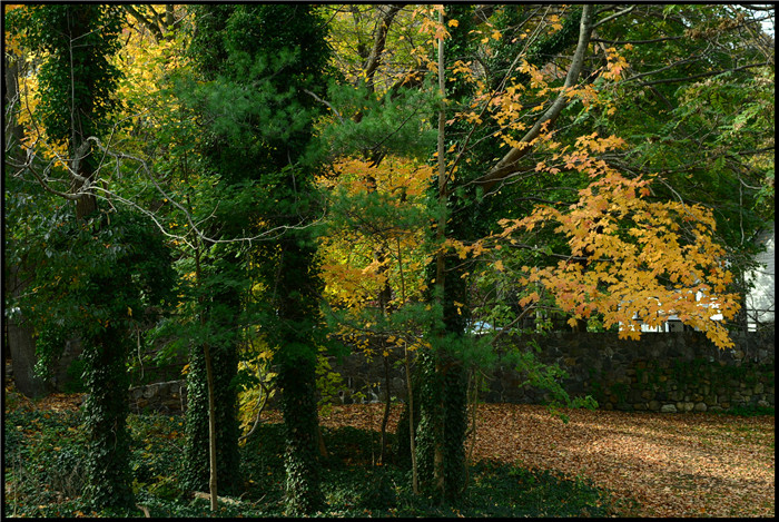 DSC_5883.jpg