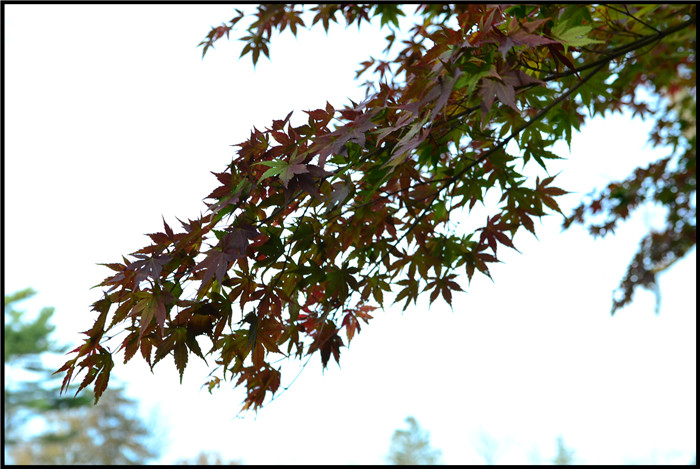 DSC_5897.jpg