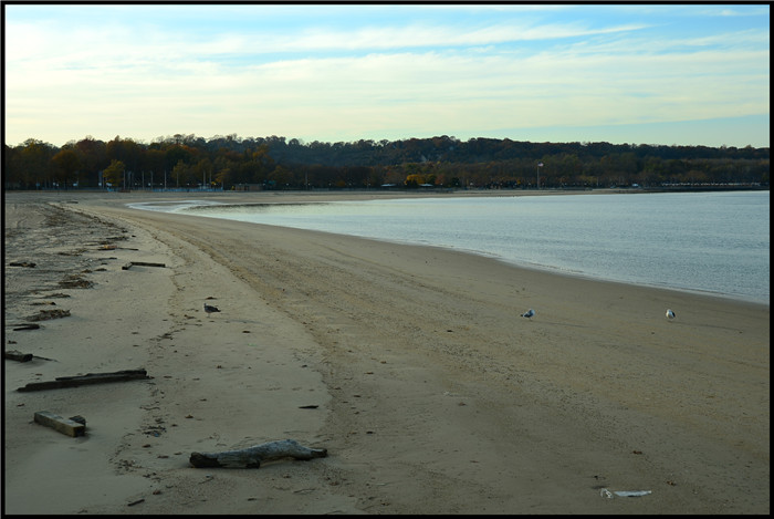 DSC_6219.jpg