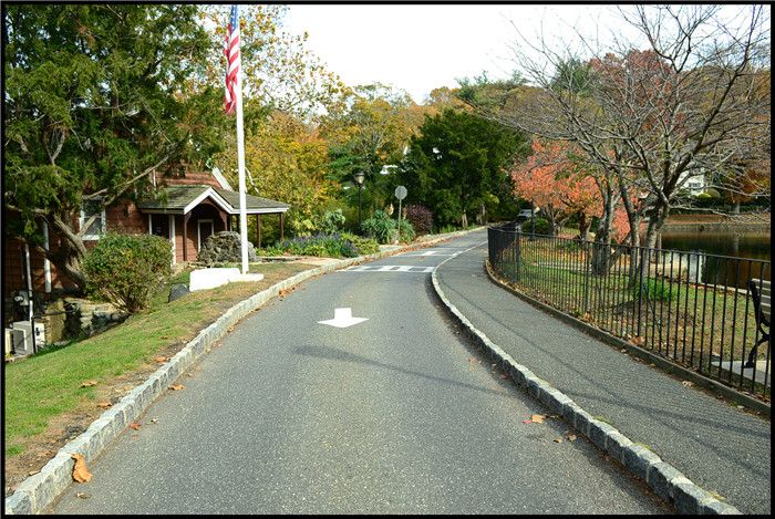 DSC_5946.jpg