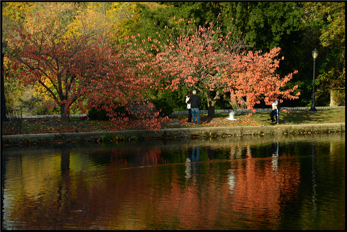 DSC_6140.jpg