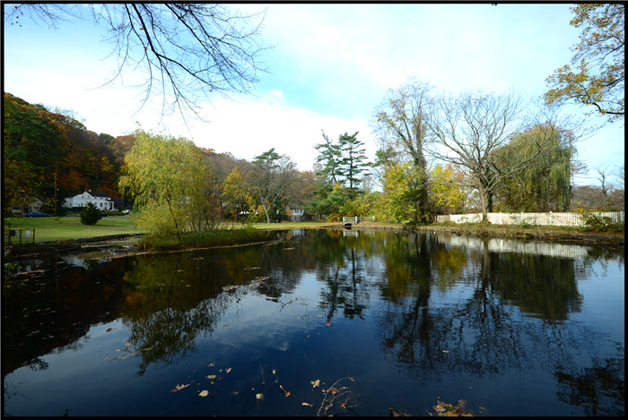 DSC_5853.jpg