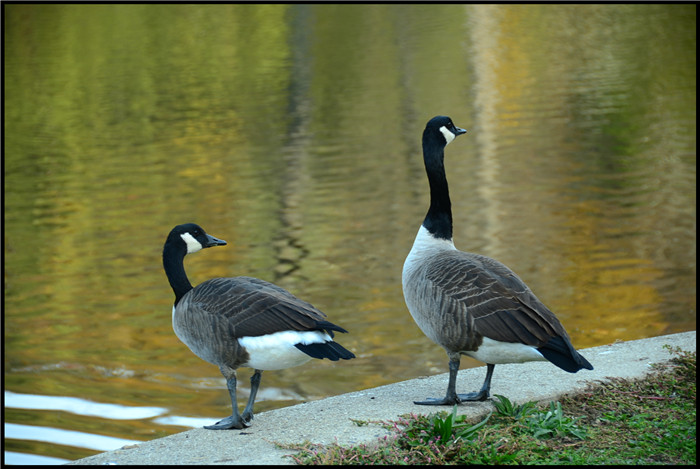 DSC_6163.jpg