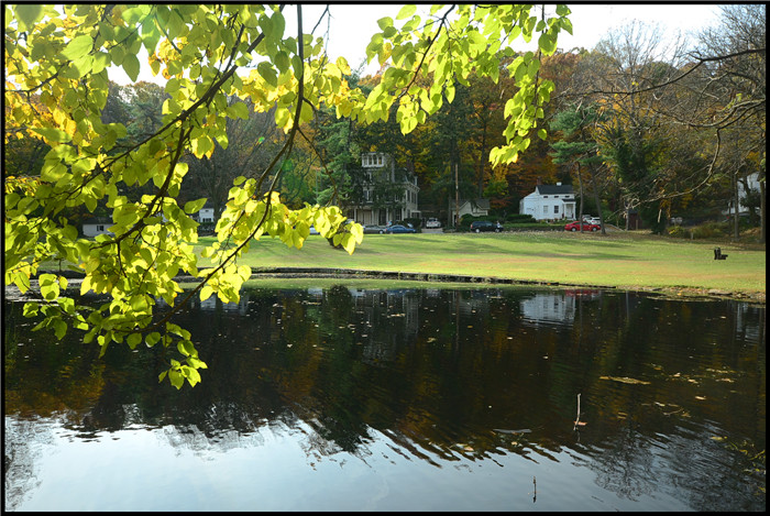 DSC_5872.jpg