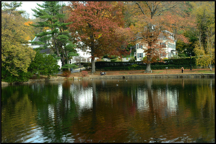 DSC_5989.jpg