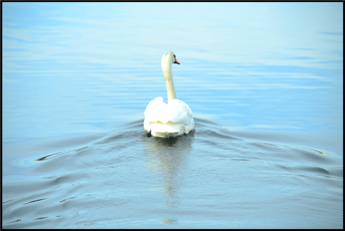 DSC_6077.jpg