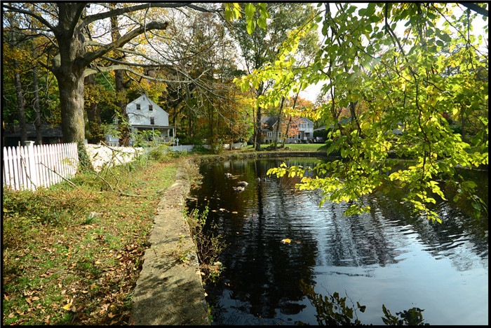 DSC_5870.jpg