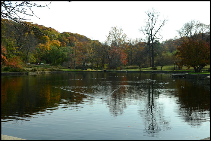 DSC_5949.jpg