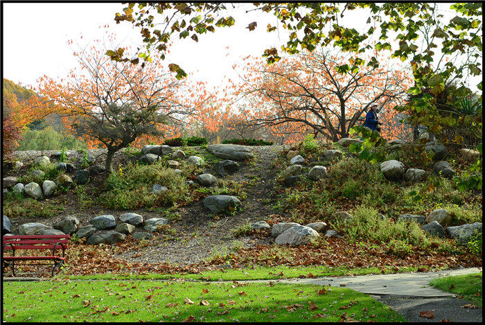 DSC_5962.jpg