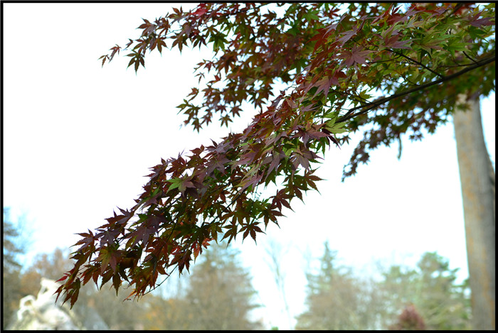 DSC_5895.jpg