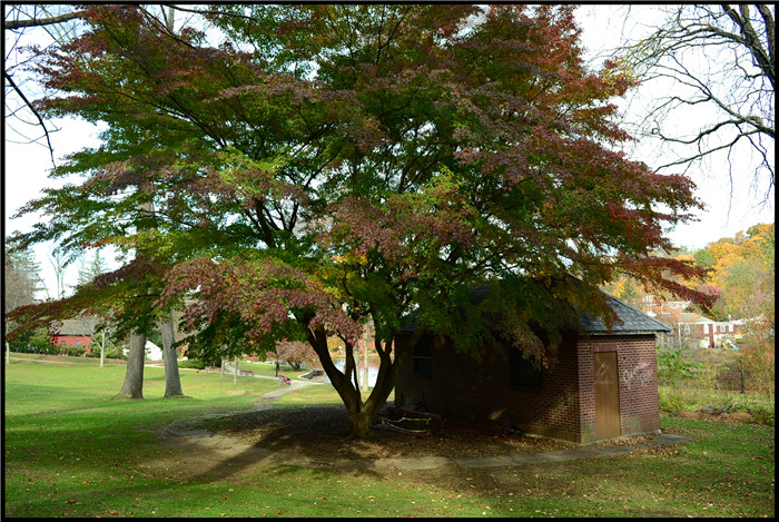 DSC_5892.jpg