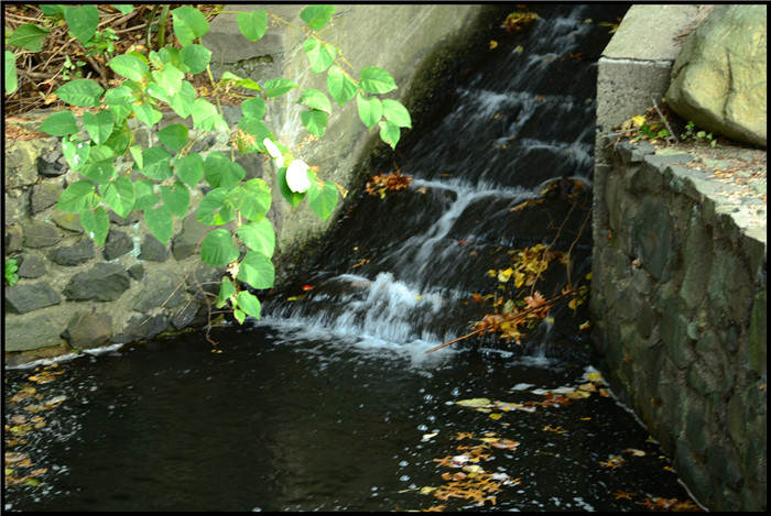 DSC_6002.jpg