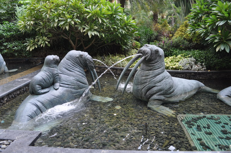 DSC_0063.JPG