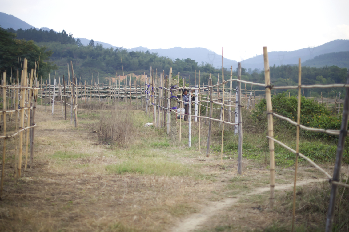 DSC_3015.jpg
