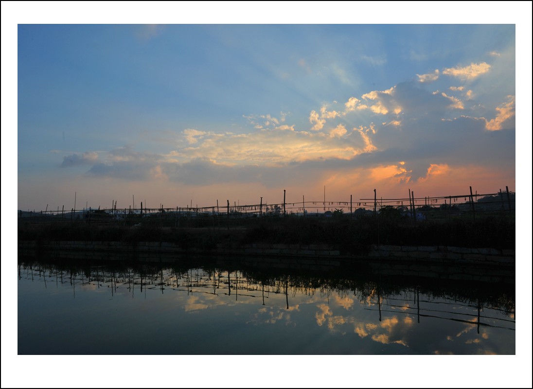 DSC_5532_conew1.jpg