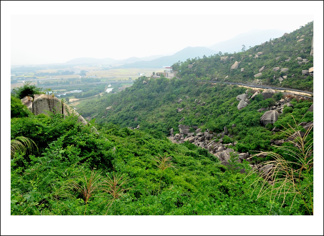 DSC_2386_conew1.jpg