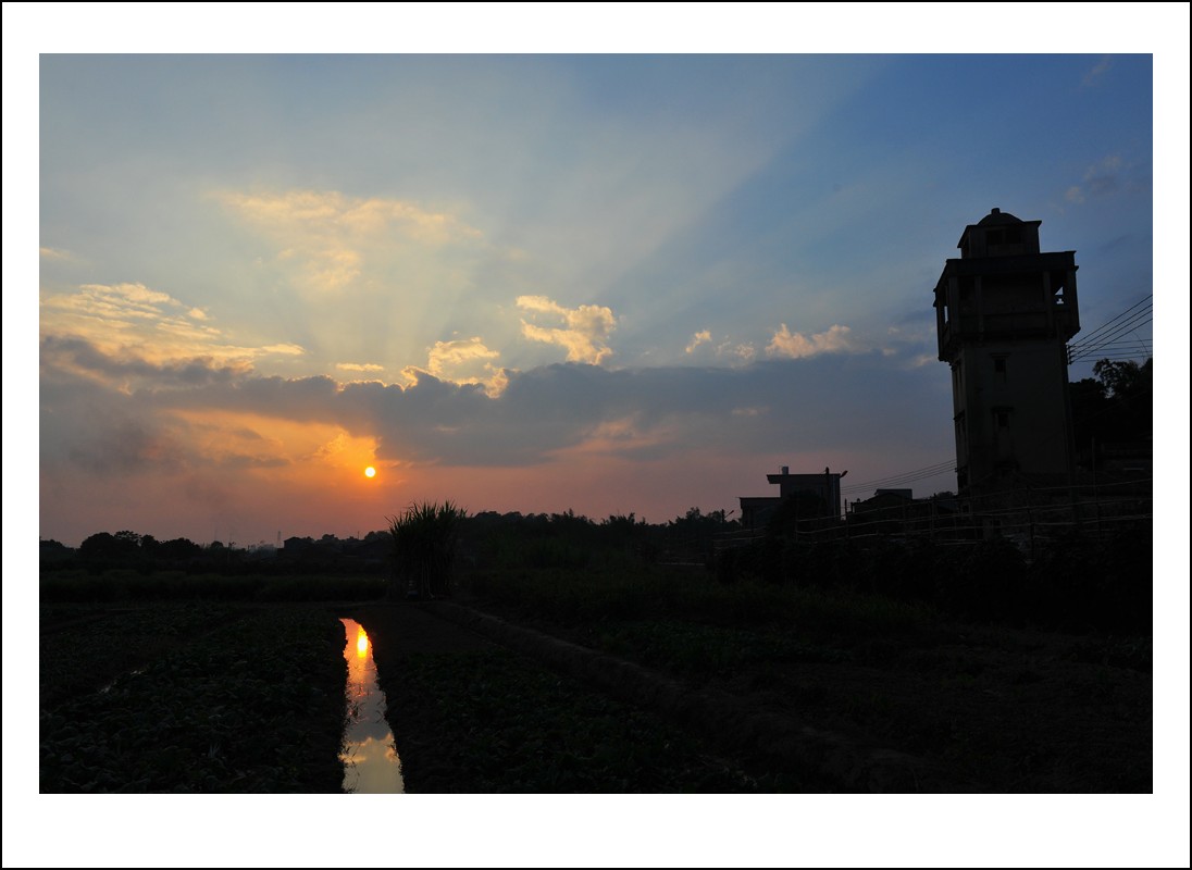 DSC_5713_conew1.jpg