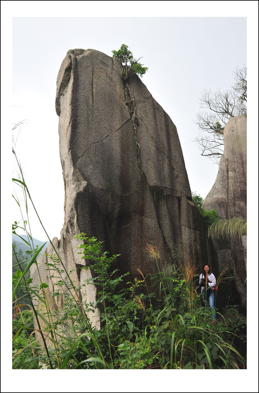 DSC_2164_conew1.jpg