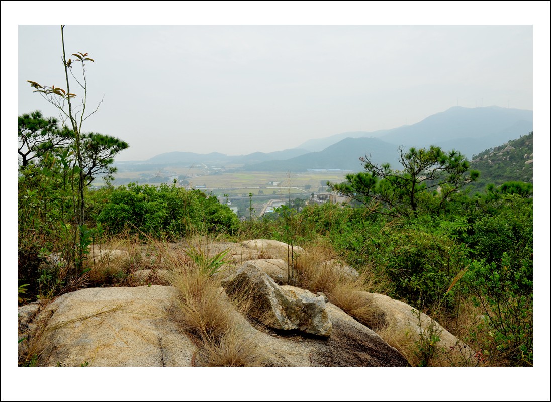 DSC_2362_conew1.jpg