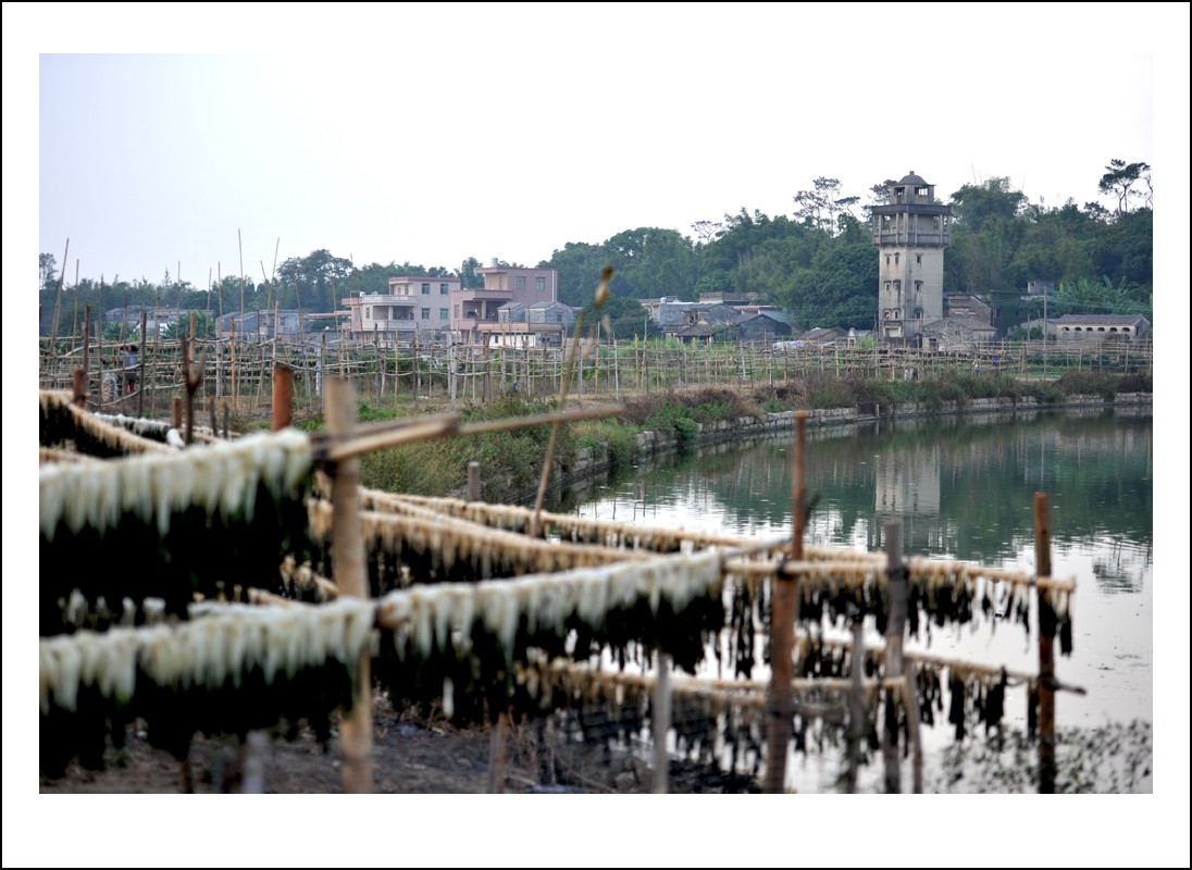 DSC_5304_conew1.jpg