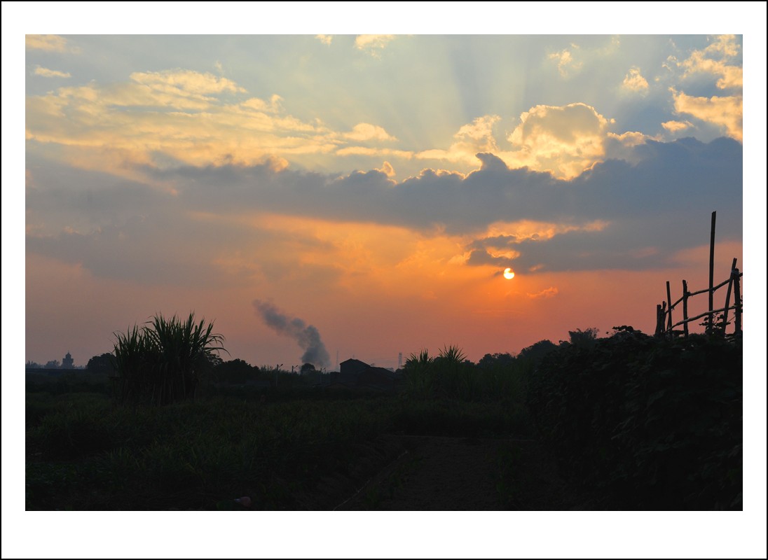 DSC_5670_conew1.jpg