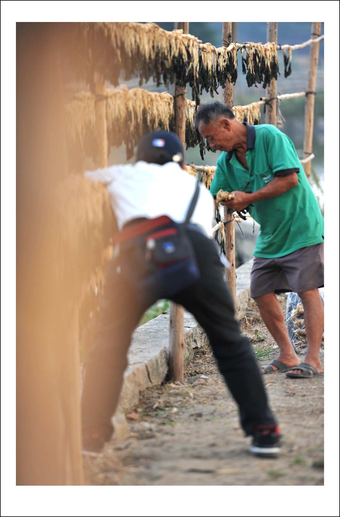 DSC_5214_conew1.jpg