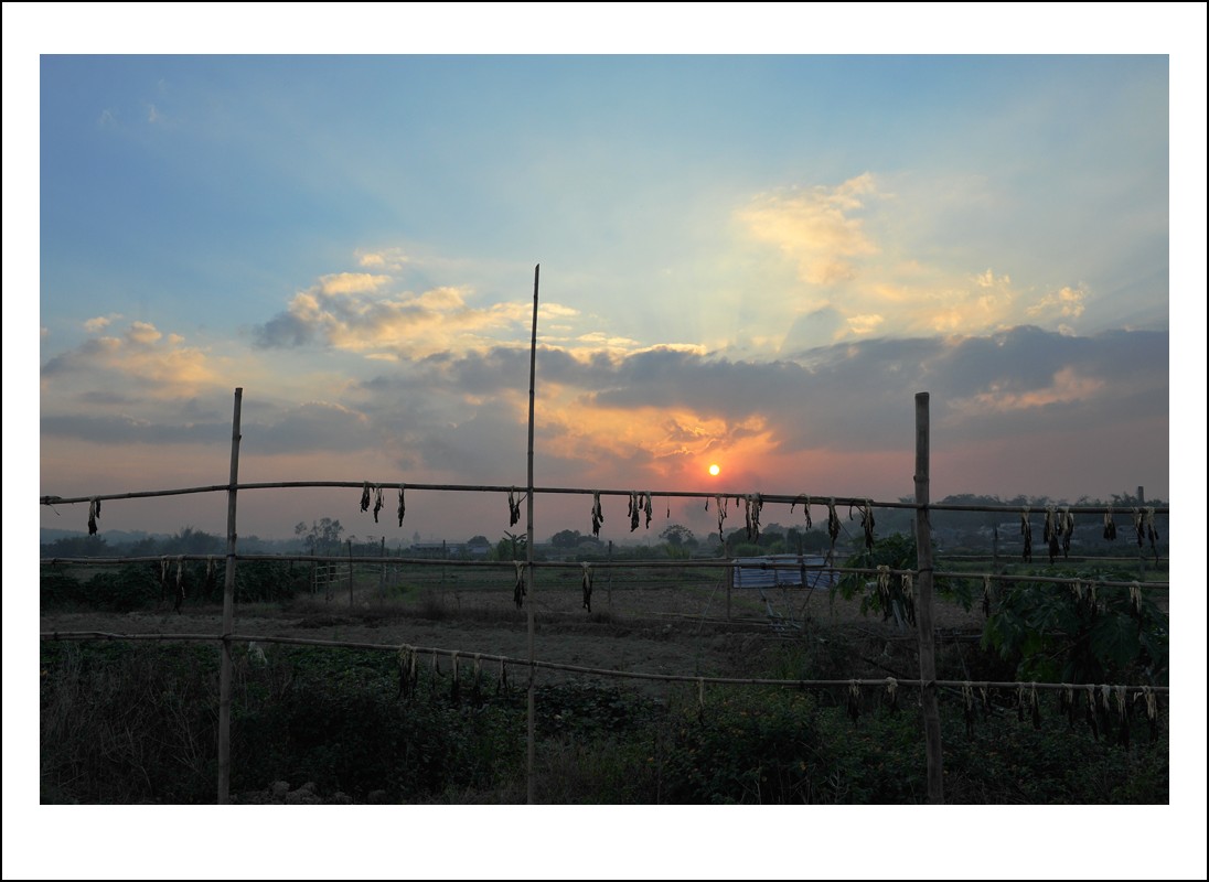 DSC_5753_conew1.jpg