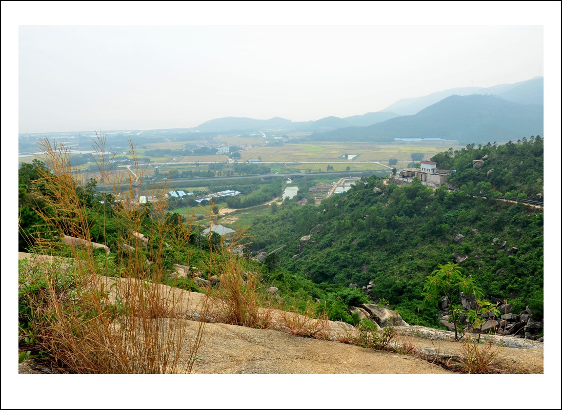 DSC_2312_conew1.jpg