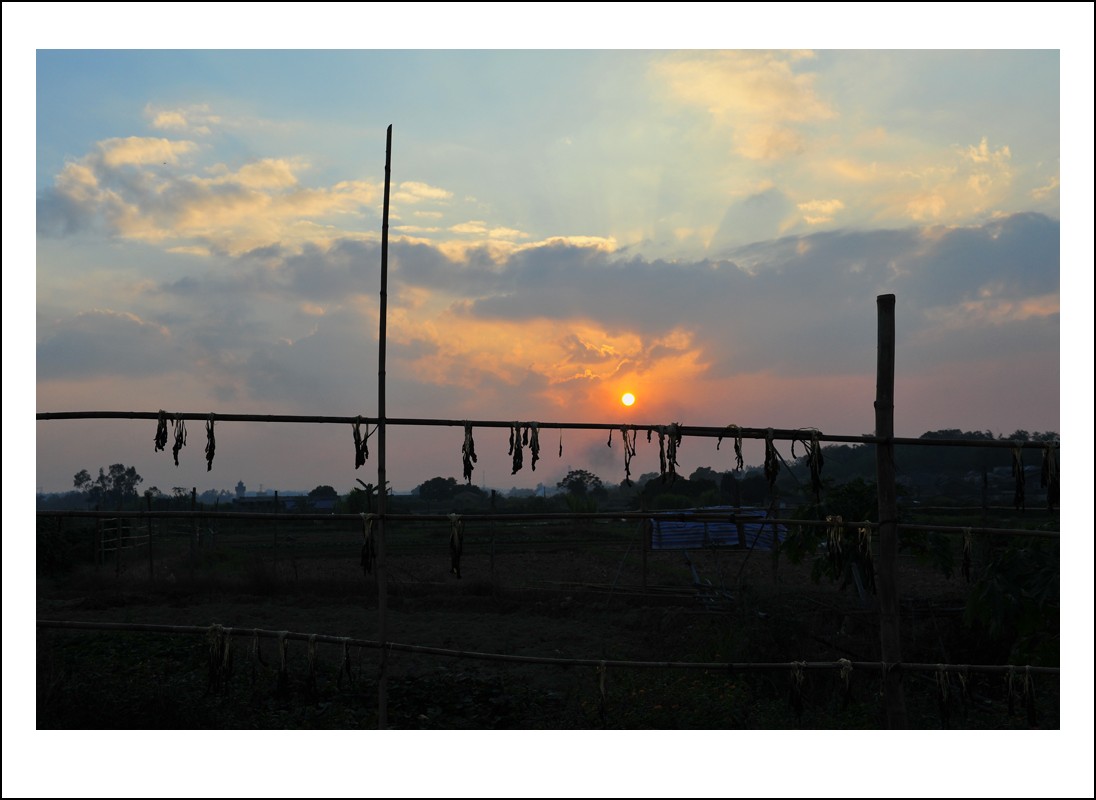 DSC_5751_conew1.jpg
