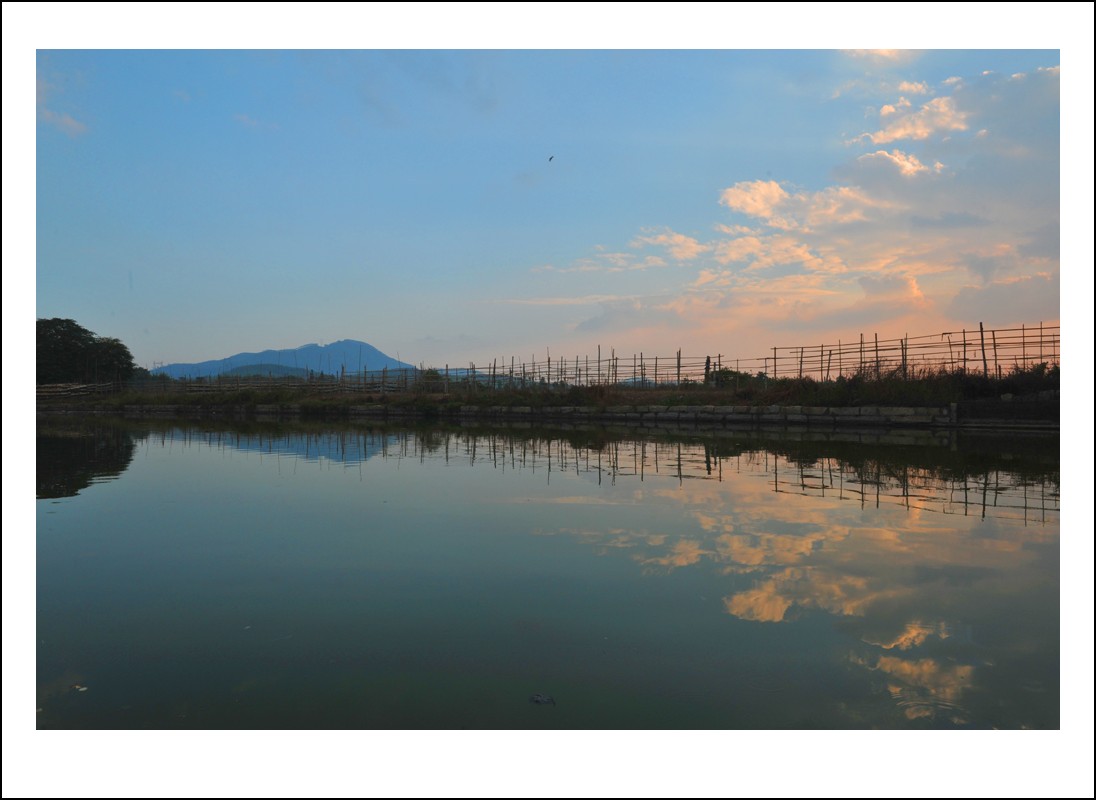 DSC_5466_conew1.jpg