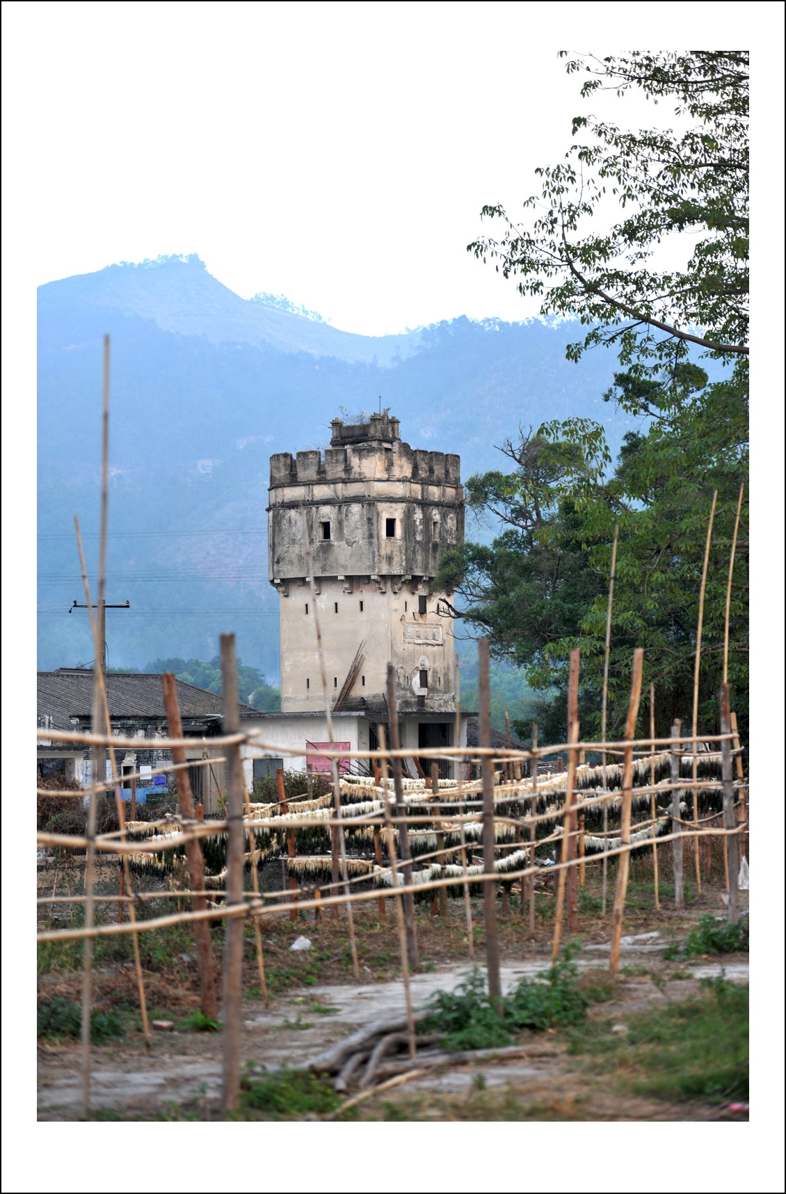 DSC_5290_conew1.jpg